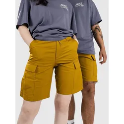 Nike Sb Kearny Shorts bronzine Gr. 32