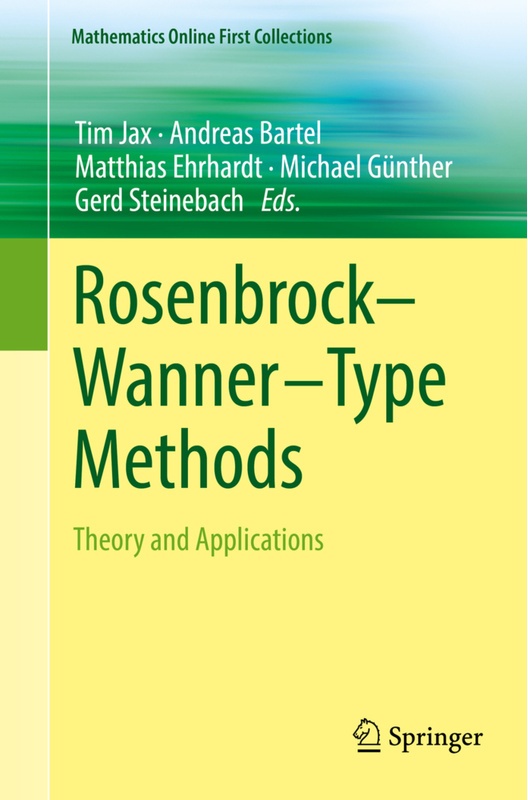 Rosenbrock-Wanner-Type Methods, Kartoniert (TB)