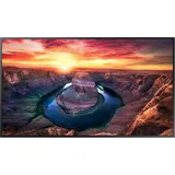 Samsung QM43B-T 43"