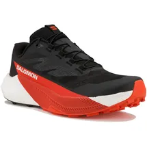 Salomon Pulsar - Trailrunningschuhe Gr 49 1/3 grau