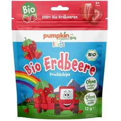 Pumpkin Gefriergetrocknete Erdbeeren bio