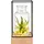 Gadgy Gadgy® Beleuchtete Glasvase mit LED | Moderne Blumenvase Ø8cm für Wohnzimmer Deko | Skandinavisches Design | Ideal als Pflanzen Vase & Geschenk