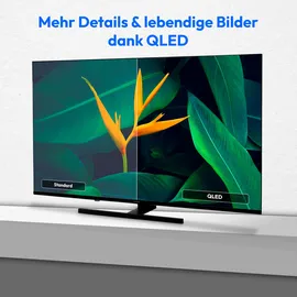 Medion MD855800 55" 4K Ultra HD QLED Fernseher Smart TV