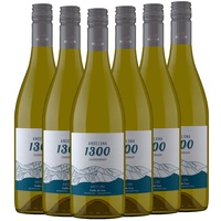 Chardonnay Andeluna 1300 - 6er Karton