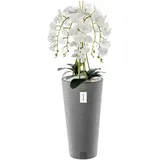 botle Künstliche Orchidee Kaskaden Blumenstrauß Weiß im Topf Beton H 110 cm Heimbüro Dekoration, Kunstpflanze Orchidee, Kunstblume, Künstliche Orchidee im Topf