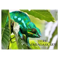 Calvendo Tiere Madagaskars (Wandkalender 2026 DIN A3 quer), CALVENDO