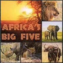 JET Papier Unbekannt Ti-Flair Servietten Africa`s Big Five 33 x 33 cm