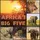 JET Papier Unbekannt Ti-Flair Servietten Africa`s Big Five 33 x 33 cm
