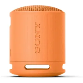 Sony SRS-XB100 orange