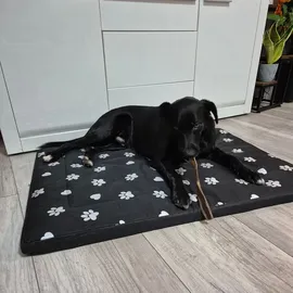 OEM Hundebett Purlov XXL 100 x 70 cm schwarz