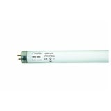 Aura Light Leuchtstofflampe T8 Universal 36W-840