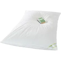 franknatur Ballonbett 155x220 Winterdecke 30% Gänsedaunen 3000g - Bettdecke Winter
