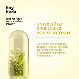 hay herb Gute Laune Kapseln 60 St.