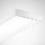 Trilux Actison Fi LED-Sporthallenleuchte