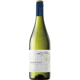 Miguel Torres Magnetic Blanco 2024 0,75 l