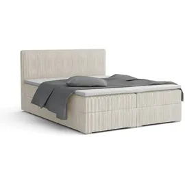 dein schlaf 24 BOXBETT LON IV 160/200 in Cord Ecru H3 - Naturbelassen