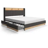VitaliSpa Polsterbett Anthrazit, Holzwerkstoff, Rechteckig, Schlafzimmer, Betten