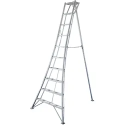 NIWAKI 3-Holm-Gartenleiter, 300 cm
