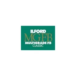 ILFORD MGF1K 24x30cm 10 Blatt #1172005 (Angebot)