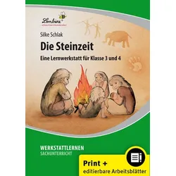 Die Steinzeit