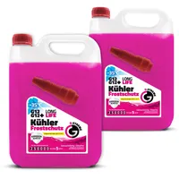 g-xtreme Kühlerfrostschutz G12 / G12+ 2 St. 10 l