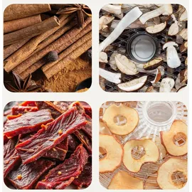 Zeegma DRY CHEF PRO Dörrautomat 400W, Obst- & Gemüsetrockner, 5 Ebenen, Temperatur 35–70°C, Umluft, Timer bis 72h - Schwarz