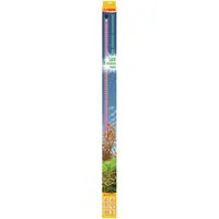 Sera Aquarienbeleuchtung plantcolor sunrise 965mm 2 Stück