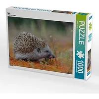 Calvendo Igel Puzzle