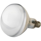 Kerbl Infrarotlampe klar (150 W, Wärmelampe für Schweine + Geflügel, Laufzeit max. 5000 Stunden, Lampensockel E27, Stalllampe) 22243