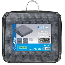PRO PLUS Zeltteppich für Camping 2,5x4m Wetterfester Outdoor Teppich für Vorzelte Vorzeltteppich und Campingteppich für Wohnwagen