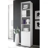 Stella Trading BOXXX Regal hoch SILAS - (B/H/T) ca. 50,00x216,00x35,00
