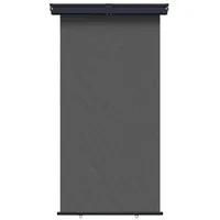 vidaXL Seitenmarkise 100 x 300 cm grau Eisen 1 St.