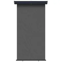 vidaXL Seitenmarkise 100 x 300 cm grau Eisen 1 St.