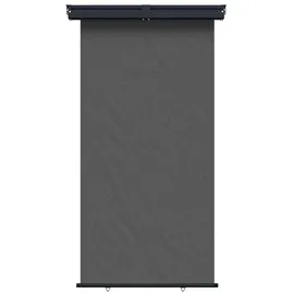 vidaXL Seitenmarkise 100 x 300 cm grau Eisen 1 St.