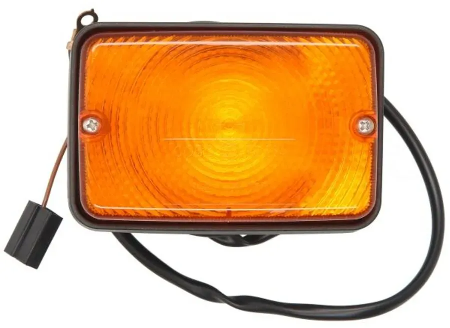 Knipperlicht vóór COBO 1011480