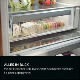 AEG TF6FS181DC Einbaukühlschrank (282 l, 1769 mm hoch)