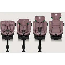 lionelo Harmony i-Size Pink Mauve