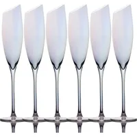 Intirilife Champagner Sektglas Set 150 ml 6-tlg.