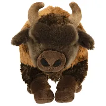nature de brenne, francja Bison