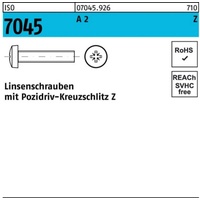Hörger & Geßler Flachkopfschraube ISO 7045 PZ M6x 45-Z