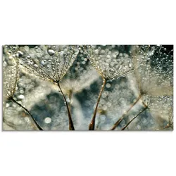 Glasbild ARTLAND "Pusteblume Regenschauer", grau (farbe bild(er): grau), B:100cm H:50cm, Bilder, in verschiedenen Größen