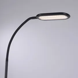 just light. Kelly 14406-18 Schwarz