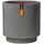 Capi Europe Groove 36 x 38 cm Anthrazit