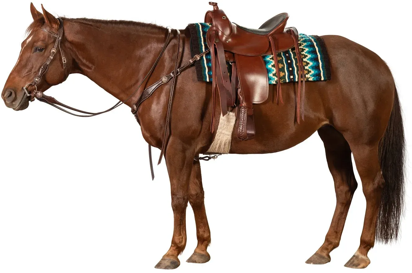 Passion 4Q Western-Vorderzeug dark brown Cob