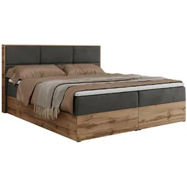 MKS Meble MKS Boxbett, Dunkelgrau Velvet - Grau