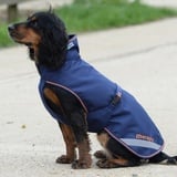 Bucas Therapy Dog Rug - Navy/Orange 0g - Hundedecke, 60