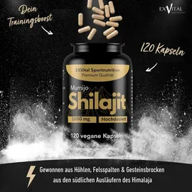 Exvital Mumijo Shilajit Kapseln 1000 mg 74 g