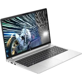 HP ProBook 450 G10 Intel Core i5-1334U 16 GB RAM 2 TB SSD TG03230B