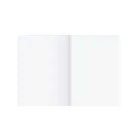 Staufen Kanzleipapier A4 250 g/m2 250 Blatt