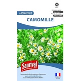 Sanrival Kamille